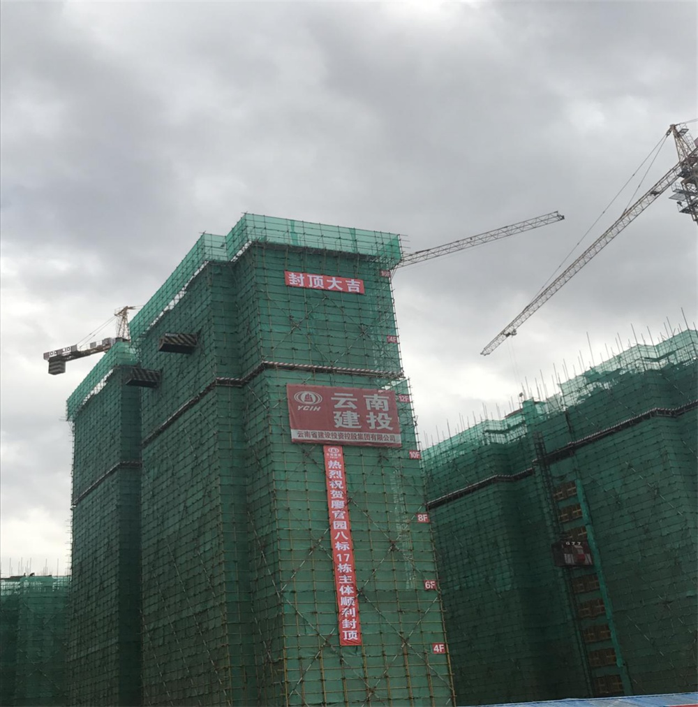 廖官封頂修.JPG